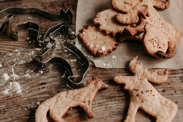 DIY Christmas cookies. Animal figurine cookies. Christmas mood at home