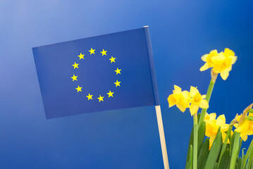 Small flag of the European Union with yellow flowers on blue background