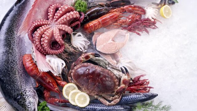 4K UHD Zoom out Top view: Variety of luxury fresh seafood, Lobster salmon crayfish prawn  on ice background with frozen icy smoke. Fresh frozen seafood on ice and retail market concept.