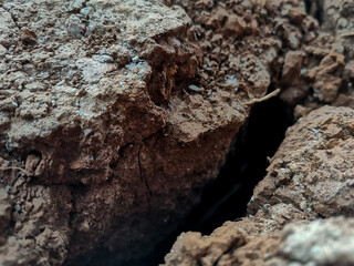 Barren, Arid, Dry Soil, Cracked, Tanah gersang tandus kering