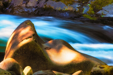 A Rock Seat on the Salmon River