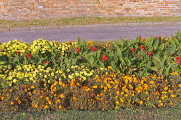 Park garden flowers