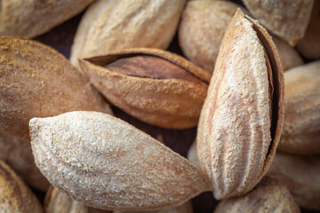 A lot of nuts close-up. Whole unpeeled almonds. Natural background for healthy eating concept