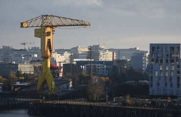 Fototapeta na wymiar Grue titan jaune sur le port de Nantes au petit matin. France. 