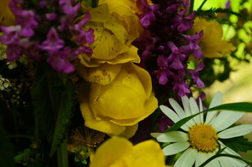beautiful bouquet of bright wild flowers