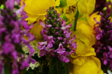 beautiful bouquet of bright wild flowers