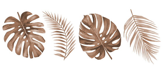 Dry palm leaves. Dried tropical monstera and palm leaf set. Terracotta plants. Watercolour illustration isolated on white background. © Anna