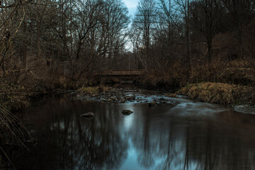 forest reflection in the lower Don River