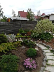 big round garden Alpine slide with stones and dwarf conifers and circular walking path from slabs.Junipers,spruce,firs,Abies, rhododendrons,hostas and bushes