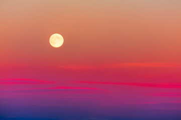 Obraz premium Rising Harvest Moon in a sunset colored sky