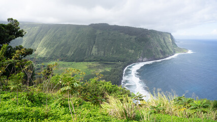 Waipio valley with coast and cliffs - Hawaii island, Hawaii, USA - 398090563