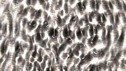 Interference patterns create dynamic structure in a wave tank.