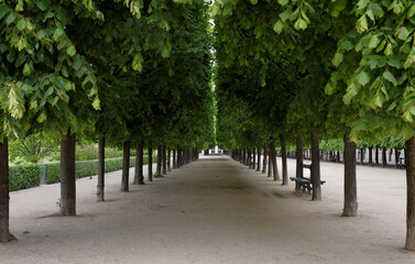  Paris. Palais Royal. Passage du Perron