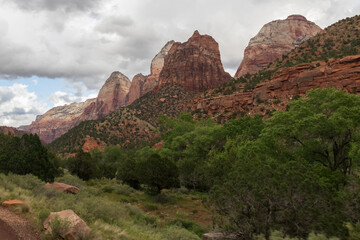 Fototapeta na wymiar Rock formations at Zion National Park
