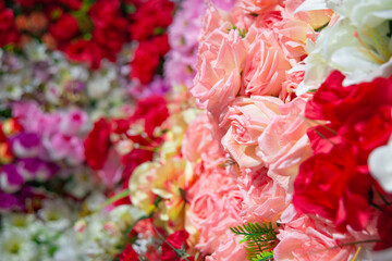 roses flowers nature green yellow blue 