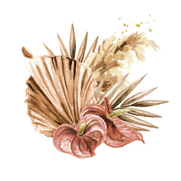 Boho composition of dried flowers, palm leaves and pampas grass, Hand drawn watercolor illustration, isolated on white background