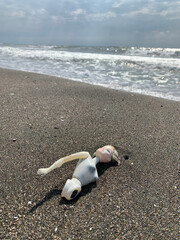 Plastic pollution on beaches, toy doll