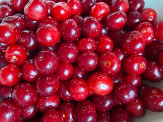 red currant background