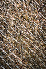 Obraz premium dry grass wrapped in a white net