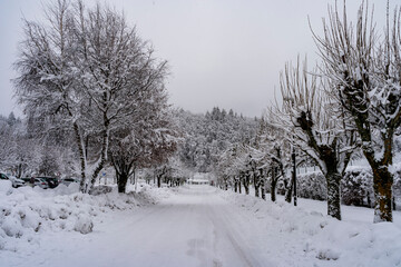Italy, Trentino, Andalo - 8 December 2020 - Superb and white winter road