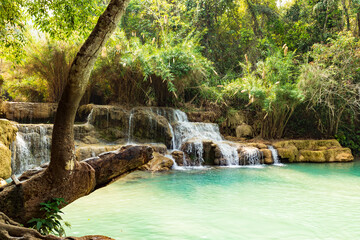 Naklejka premium Am Kuang-Si-Wasserfall, ein schöner Wasserfall im tropischen Dschungel von Luang Prabang in Laos.