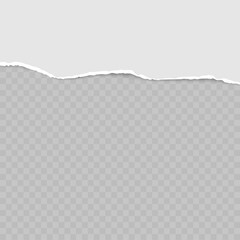 Ripped squared horizontal grey paper strips for text or message. Vector