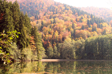 autumn in the Bateti lake 