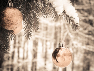 Christmass balls on tree twig. Christmas time.
