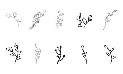 Doodle simple vector collection of 10 hand-drawn floral elements. Big collection of 10 hand-drawn branches. Big floral botanical set. Isolated on white background.