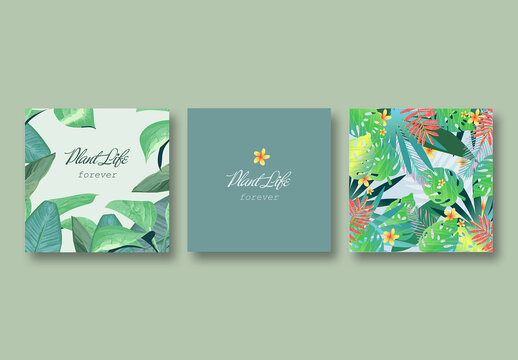 Plant Pattern Social Layout Set