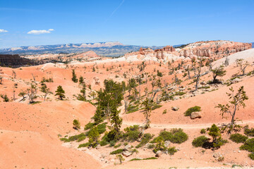 Paesaggio del Bryce Canyon