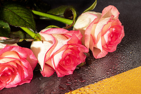 A bouquet of roses for the holiday. Women's day, Valentine's Day, name day. On a dark background with reflection.