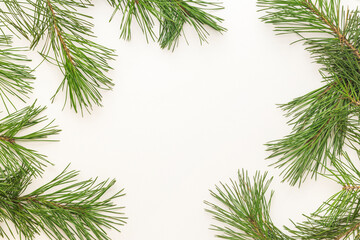 Fototapeta na wymiar Pine branches isolated on white background. Christmas concept. Selective focus. Top view.