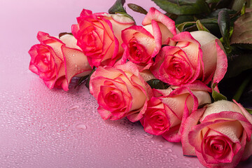 A bouquet of roses for the holiday. Women's day, Valentine's Day, name day. On a pink background with reflection.