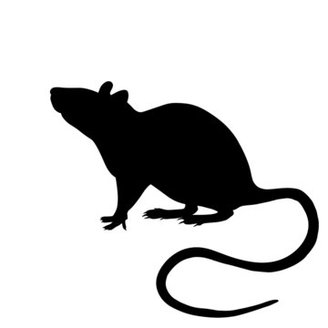 recommend clip art: Icon of rat silhouette. Black vector illustration of rodent
