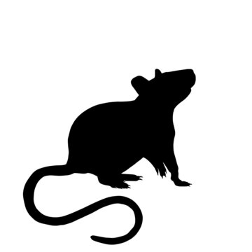 Icon of rat silhouette. Black vector illustration of rodent