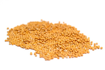 Senfsaat, Senfkörner vor weißem Hintergrund