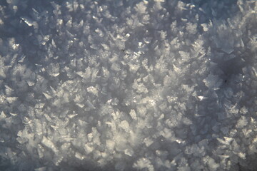 Sharp-angled frost crystals sparkle in the sun