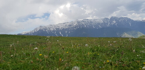 Mountain top grassy view