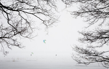 Silhouette of tree brances in huge snow storm with  snowboard kitesurfers in the background