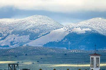 View of the bell tower of the church of Chaparral (Albolote) in a winter landscape of olive groves...