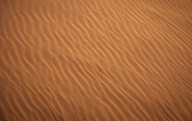 Sand pattern of the desert