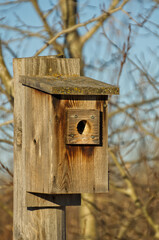 Wooden Bird House
