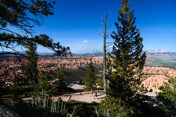 Bryce Canyon - landscape