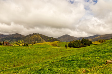 landscape in summer in Ecuador