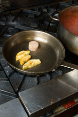 Roast duck. Duck breast pan seared in olive oil, butter, garlic and garnished with scallions, Italian parsley and lemons. Classic Italian and American restaurant or French bistro entree or appetizer.