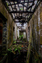 Lost place in the jungle of the azores islands in portugal