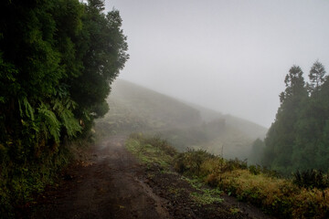 Foggy landscape in the Azores amidst the volcano mountains on a trail / path
