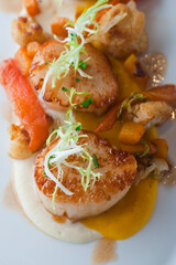Scallops. Sautéed scallops seared in butter, garlic, shallots, red wine, tarragon, salt and pepper and served with toasted baguettes. Classic French bistro entree.