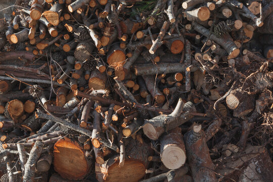 Firewood stacked